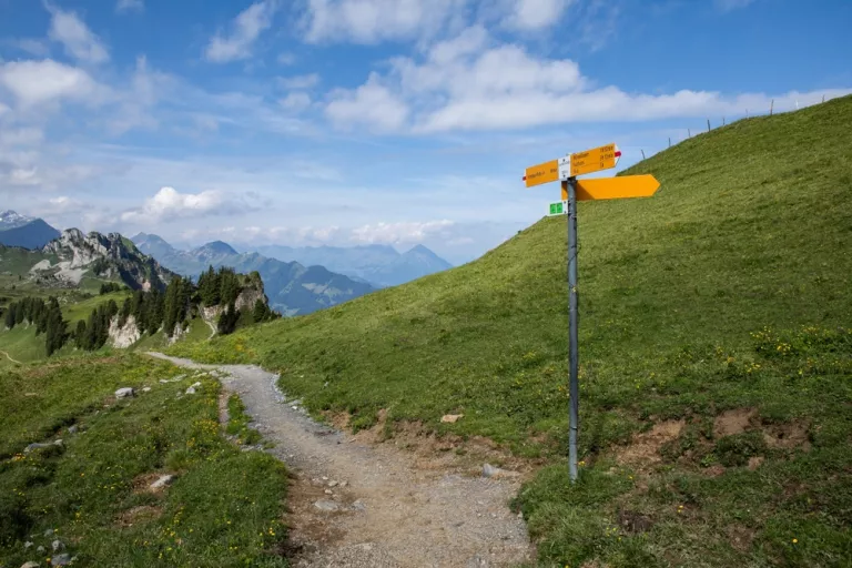 Ksv Eintrag Nach Privatkonkurs Löschen
